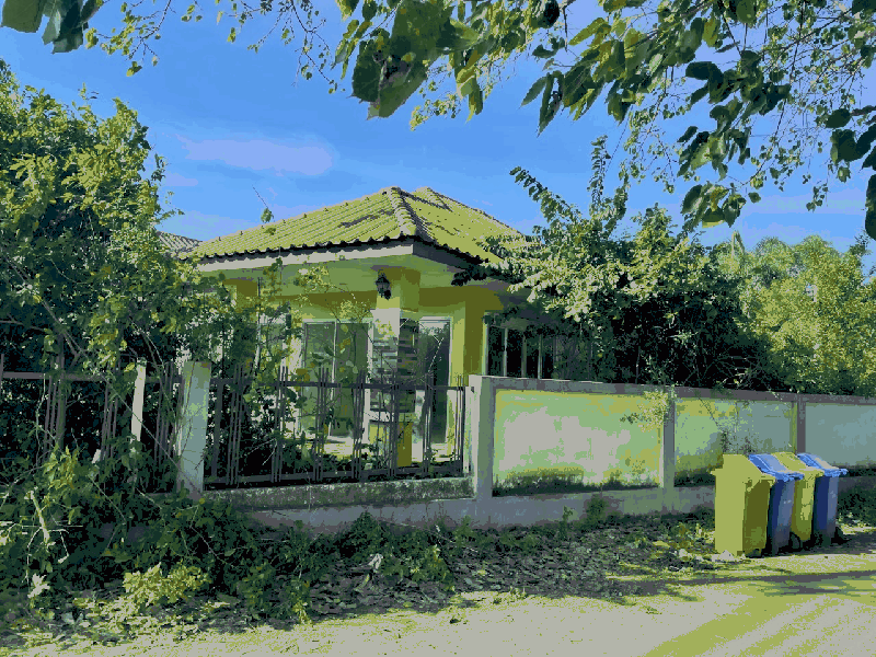 โคกปีบ ศรีมโหสถ ปราจีนบุรี